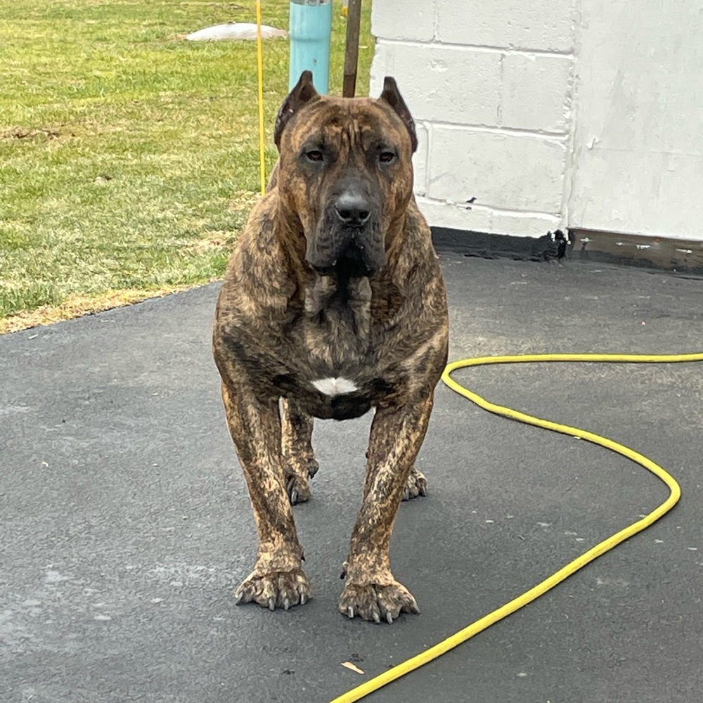 Meet your Posher, Ny